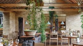 BIG: the new eco-friendly look of "noma"