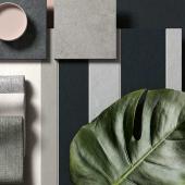 Color Studio: soft tones and new formats